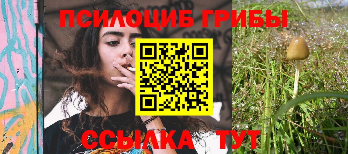 Псилоцибиновые грибы GOLDEN TEACHER Красногорск