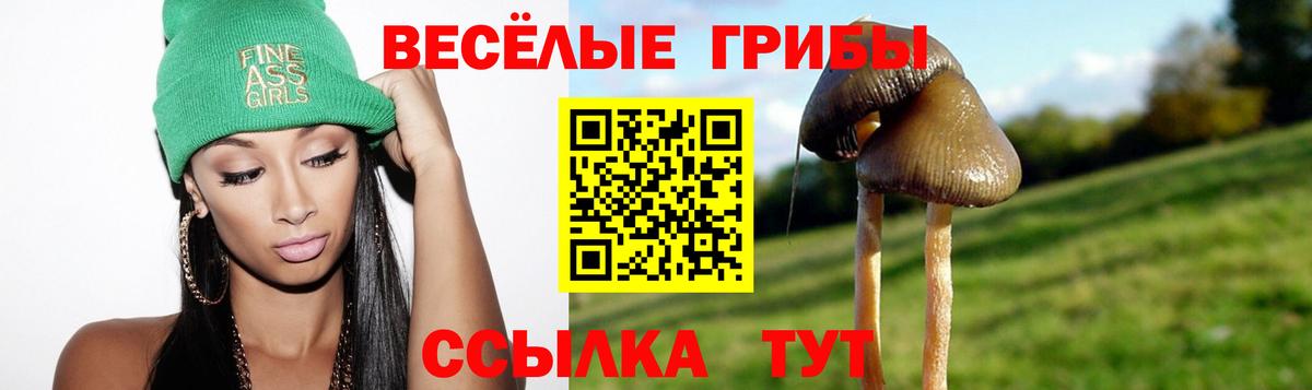 Красногорск  Псилоцибиновые грибы Psilocybe  Галлюциногенные грибы ЛСД  Вход с VPN 